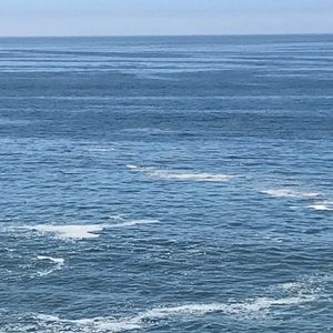 Meet your Posher, Emmanuel